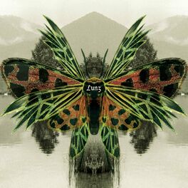 Album cover of Lunz Reinterpretations