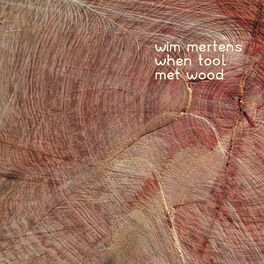 Album cover of When Tool Met Wood