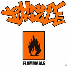 Album cover of Flammable