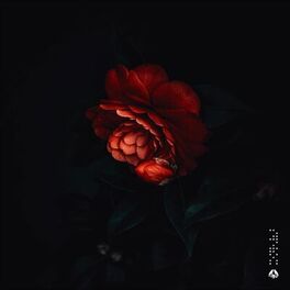 Album cover of Look Forward EP