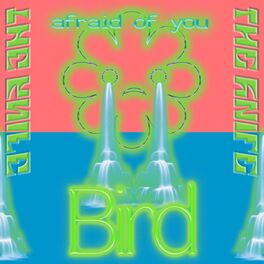 Album cover of Bird / Afraid Of You