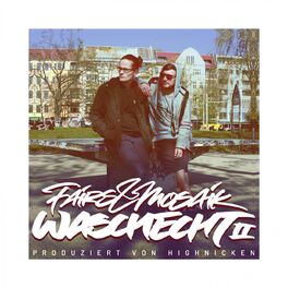 Album cover of Waschecht 2