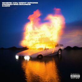 Album cover of Where You Went Wrong