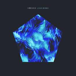 Album cover of Jailbird