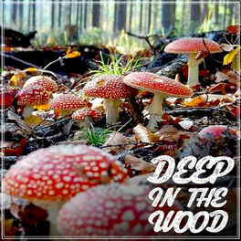 Album cover of Deep in the Wood