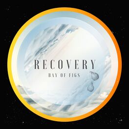 Album picture of Recovery