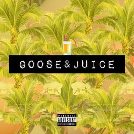 Album cover of Goose & Juice