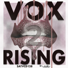 Album cover of Vox Rising II
