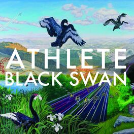 Album cover of Black Swan (All BPs Version)