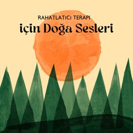 Album cover of Rahatlatıcı Terapi için Doğa Sesleri