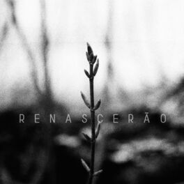 Album cover of Renascerão (feat. Tânia Alves)