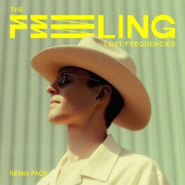 Album cover of The Feeling (Remix Pack)