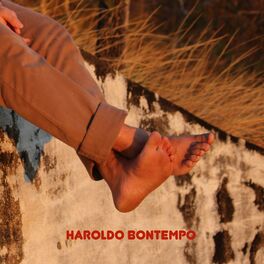 Album cover of Haroldo Bontempo