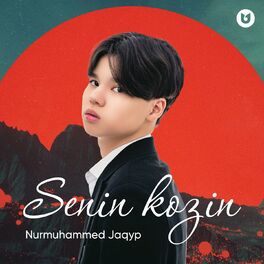 Album cover of Senin kozin