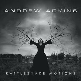 Album cover of Rattlesnake Motions