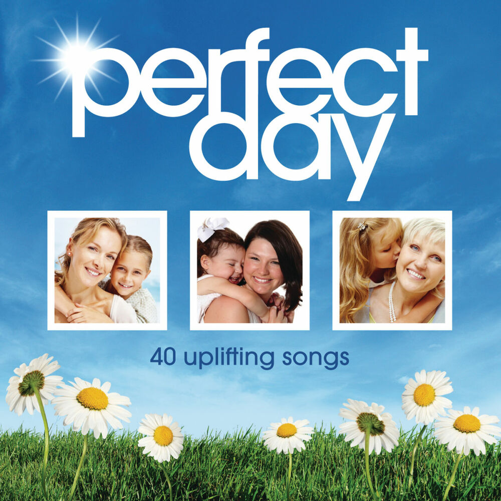 Perfect day. A perfect Day - a perfect Day. Perfect Day various artists. Perfect Days 2011.