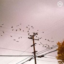 Album cover of From A Far