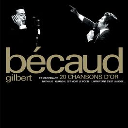 Album picture of 20 chansons d'or