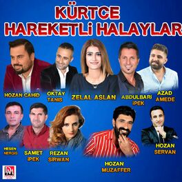 Album cover of Kürtçe Hareketli Halaylar