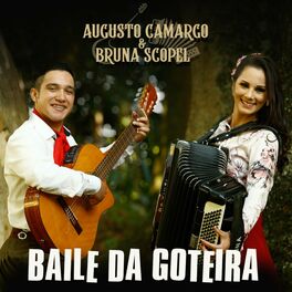 Album cover of Baile da Goteira