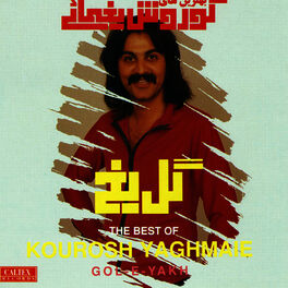 Album cover of Gole Yakh - Persian Music