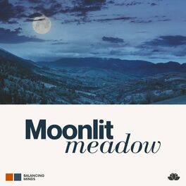 Album cover of Moonlit Meadow
