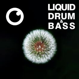 Album cover of Liquid Drum & Bass Sessions #51
