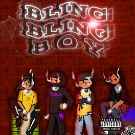 Album cover of Bling Bling Boy