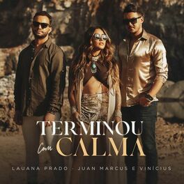 Album cover of Terminou Com Calma