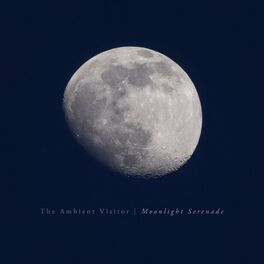 Album cover of Moonlight Serenade