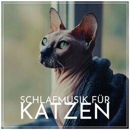 Album cover of Schlafmusik für Katzen: Spezielle Katzenwohlfühl-Frequenzen, Beruhigende Musik