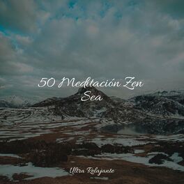 Album cover of 50 Meditación Zen Sea
