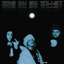 Album cover of Was du so willst