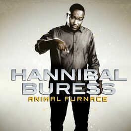 Album cover of Animal Furnace