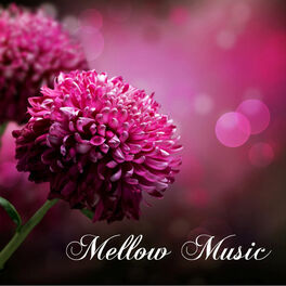 Album cover of Mellow Music