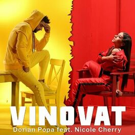 Album cover of Vinovat