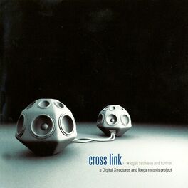 Album cover of Crosslink