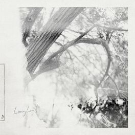 Album cover of Leaving Laurel