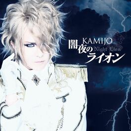 Album cover of YAMIYO NO LION