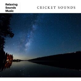 Album cover of Relaxing Outside Cricket Sounds
