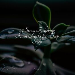 Album cover of 25 Stress Relieving Rain Tracks for Deep Sleep