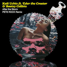 Album cover of After The Storm (Pete Rock Remix)