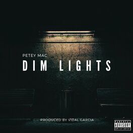 Album cover of Dim Lights