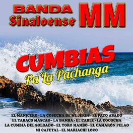 Album cover of Cumbias Pa' la Pachanga
