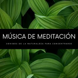 Album cover of Música De Meditación: Sonidos De La Naturaleza Para Concentrarse