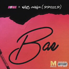 Album cover of B.A.E