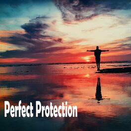 Album cover of Perfect Protection