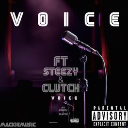 Album cover of VOICE
