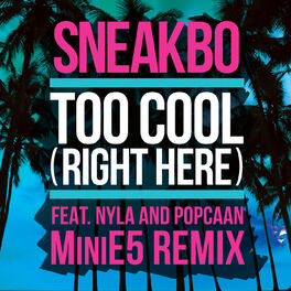 Album cover of Too Cool (Right Here) (MiniE5 Remix)