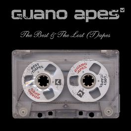 Album cover of The Best and The Lost (T)apes